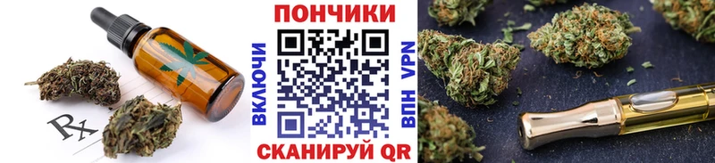 Cannafood конопля  блэк спрут как зайти  Котовск 