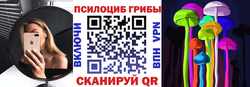 наркошоп  Котовск  Псилоцибиновые грибы мицелий 